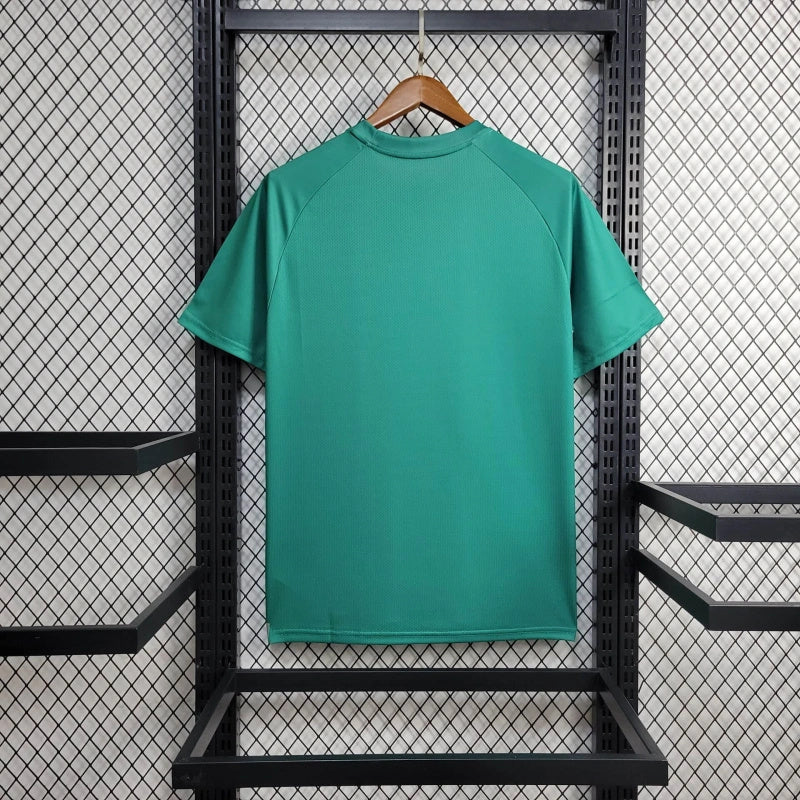 Camisa 24/25 Palmeiras Treino Verde