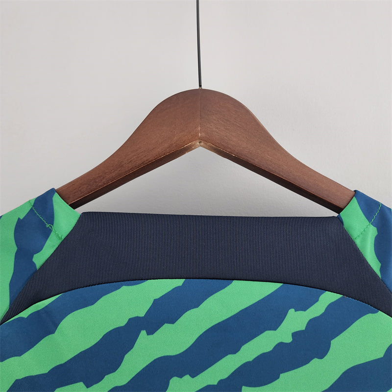 Camisa 2022 Brasil Torcedor Special Edition