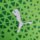 Camisa 24/25 Palmeiras Treino