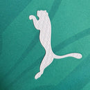 Camisa 24/25 Palmeiras Treino Verde