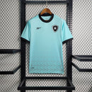 Camisa 23/24 Botafogo Treino