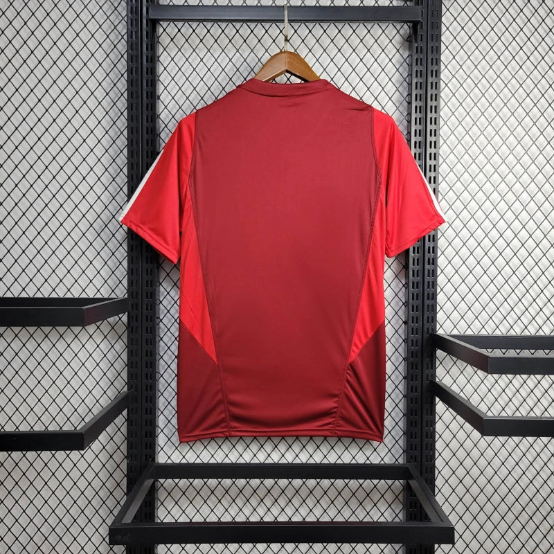 Camisa 24/25 Internacional Treino 2