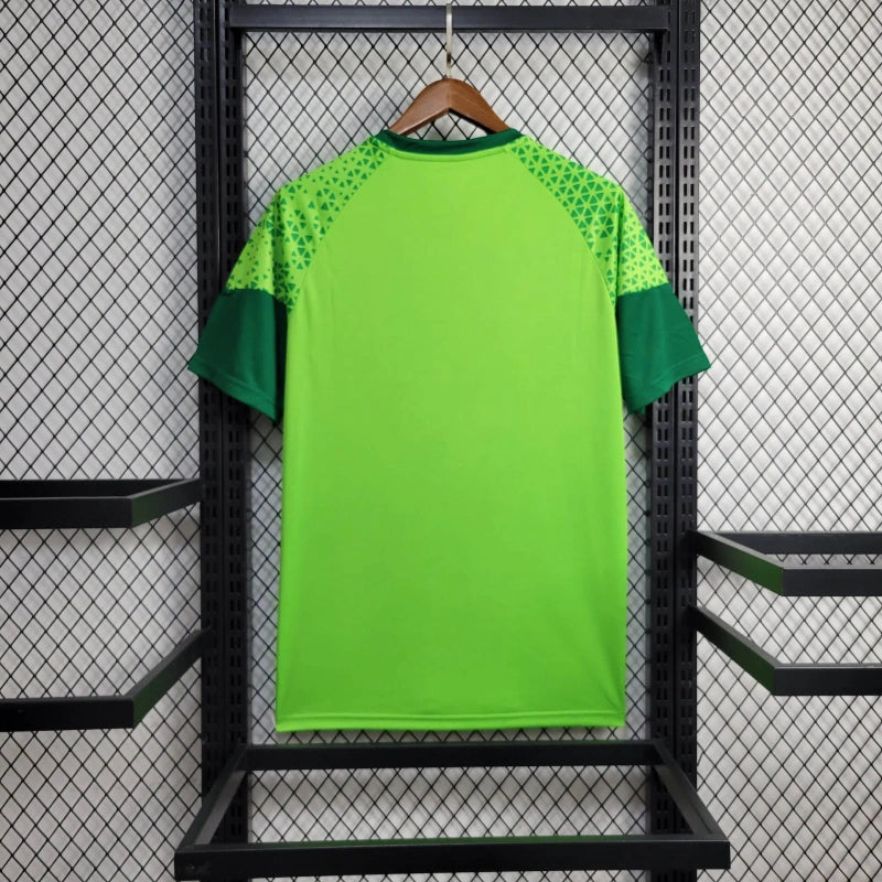Camisa 24/25 Palmeiras Treino