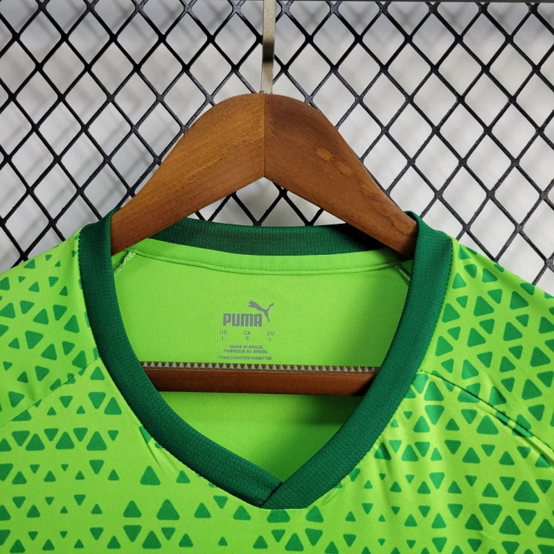 Camisa 24/25 Palmeiras Treino