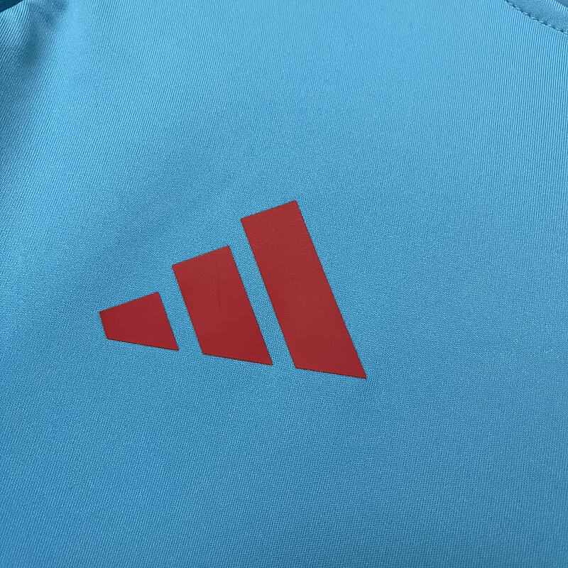 Camisa 25/26 Flamengo Treino
