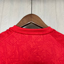 Camisa 24/25 Sport Recife Treino