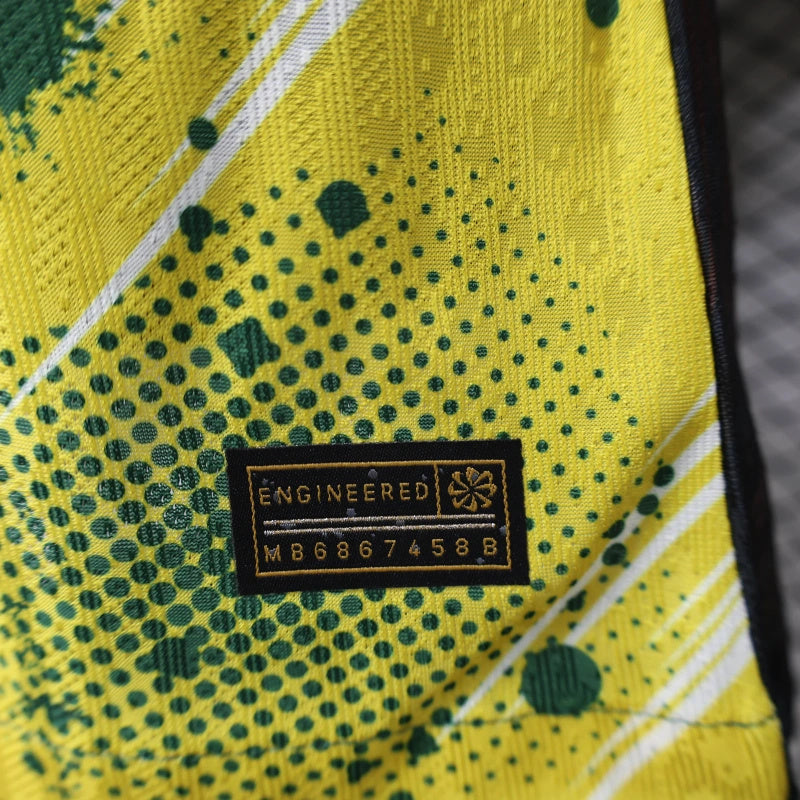 Camisa 24/25 Brasil Special edition Jogador