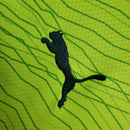 Camisa 23/24 Palmeiras Manga Longa