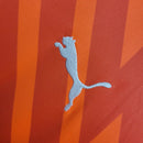 Camisa 24/25 Palmeiras Laranja Goleiro