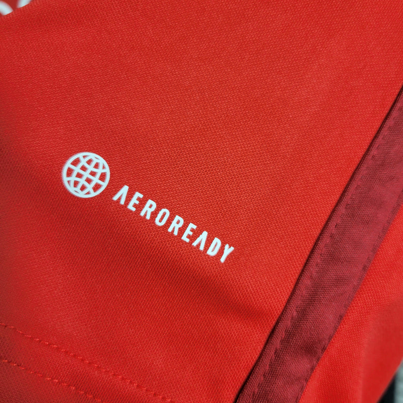 Camisa 23/24 Internacional Torcedor