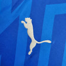 Camisa 24/25 Palmeiras Goleiro