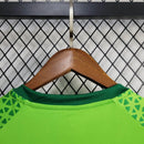 Camisa 24/25 Palmeiras Treino