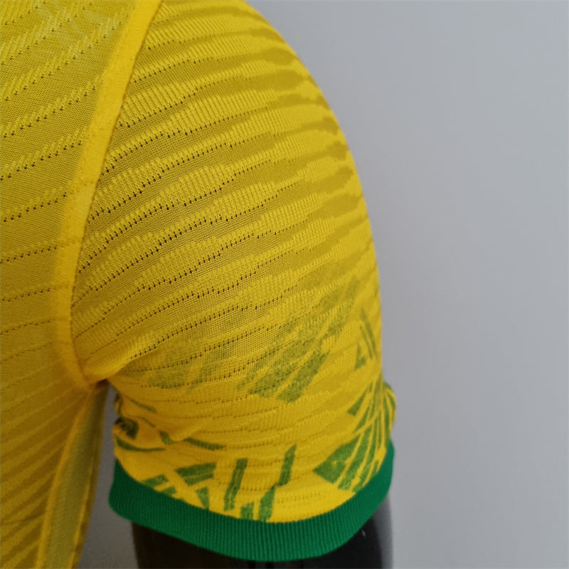 Camisa 2022 Brasil Copa do mundo Classic Jogador