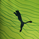 Camisa 23/24 Jogador Palmeiras Lisa