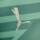 Camisa 24/25 Palmeiras Goleiro Verde