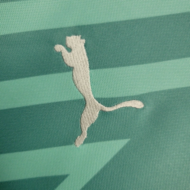 Camisa 24/25 Palmeiras Goleiro Verde