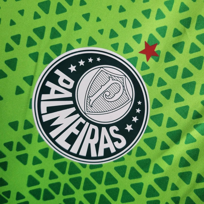 Camisa 24/25 Palmeiras Treino