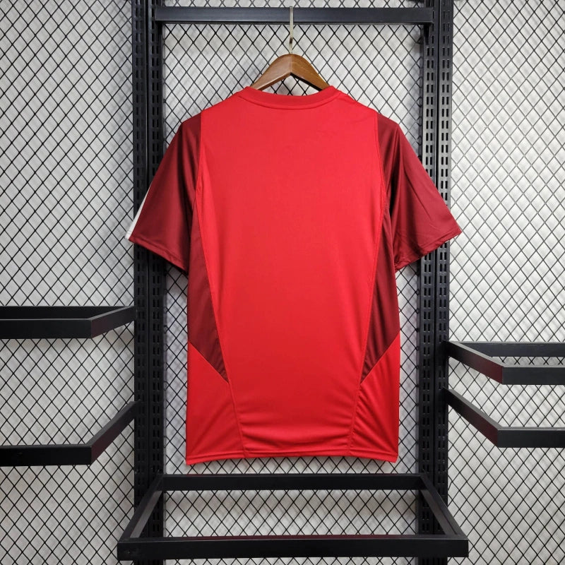 Camisa 24/25 Internacional Treino