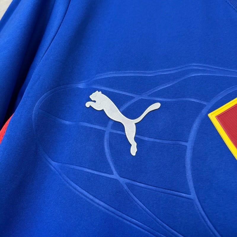 Camisa Bahia x Superman 2025/2026 Edição Especial